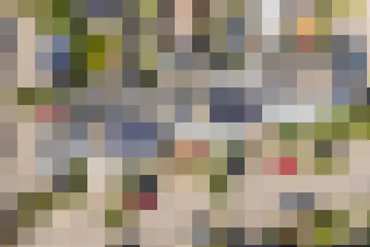 Wold 25 42 Lelystad thumbnail 52