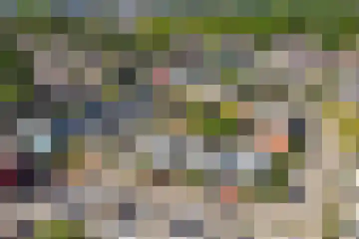 Wold 25 42 Lelystad thumbnail 53