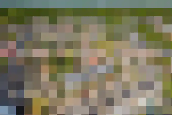 Wold 25 42 Lelystad thumbnail 55