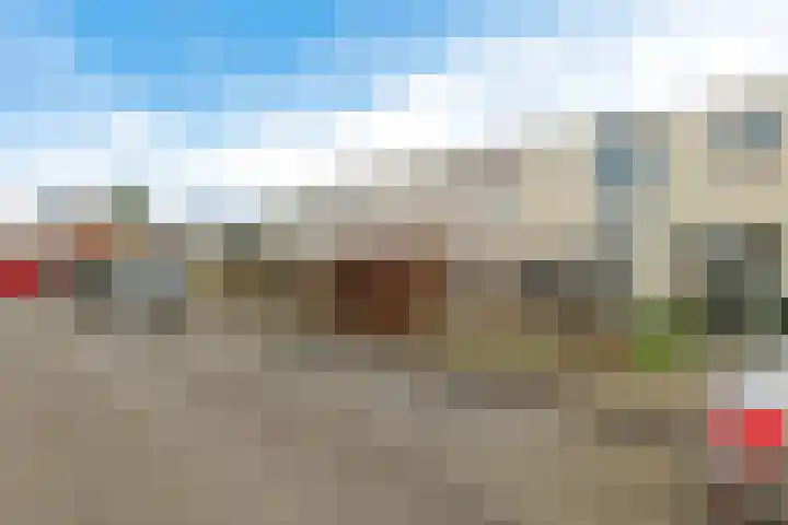 Wold 25 43 Lelystad thumbnail 4