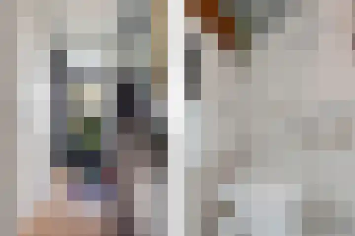 Wold 25 43 Lelystad thumbnail 6