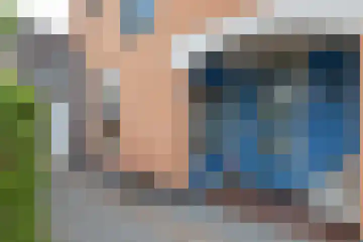 Wold 26 26 3 Lelystad thumbnail 4