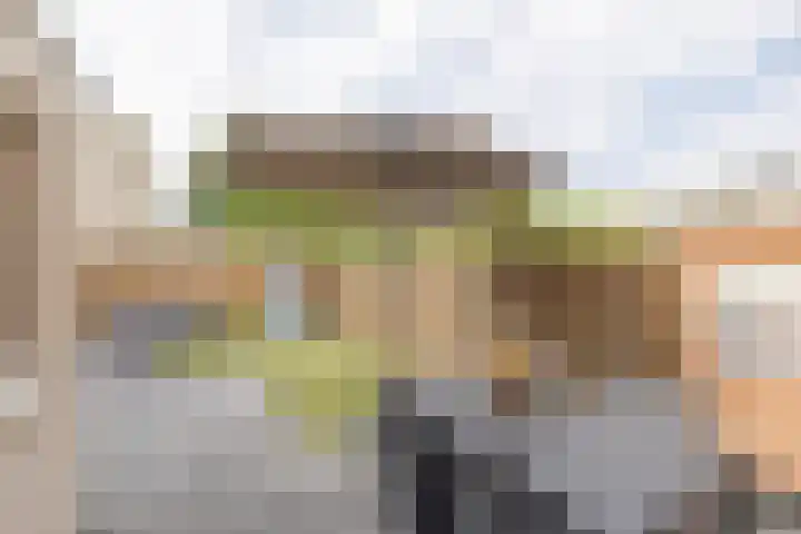 Wold 26 3 Lelystad thumbnail 27