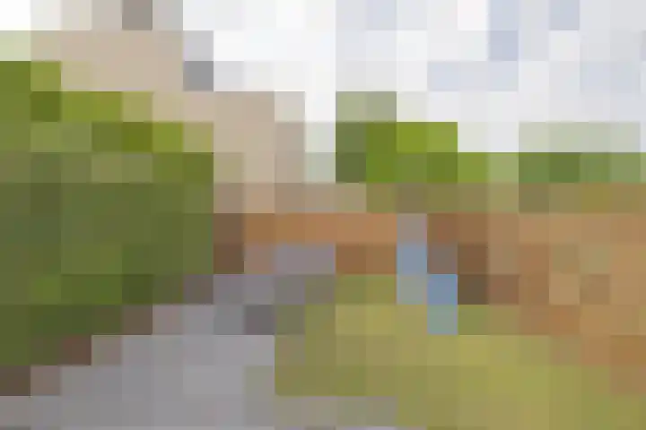 Wold 26 3 Lelystad thumbnail 28