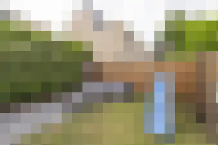 Wold 26 3 Lelystad thumbnail 30