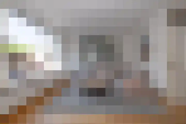 Wold 26 3 Lelystad thumbnail 6