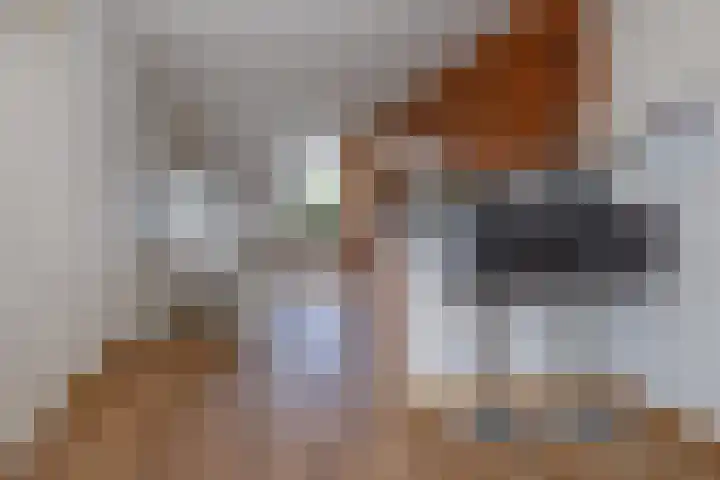 Wold 26 3 Lelystad thumbnail 8