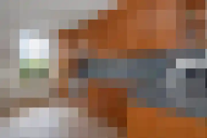 Wold 26 3 Lelystad thumbnail 9
