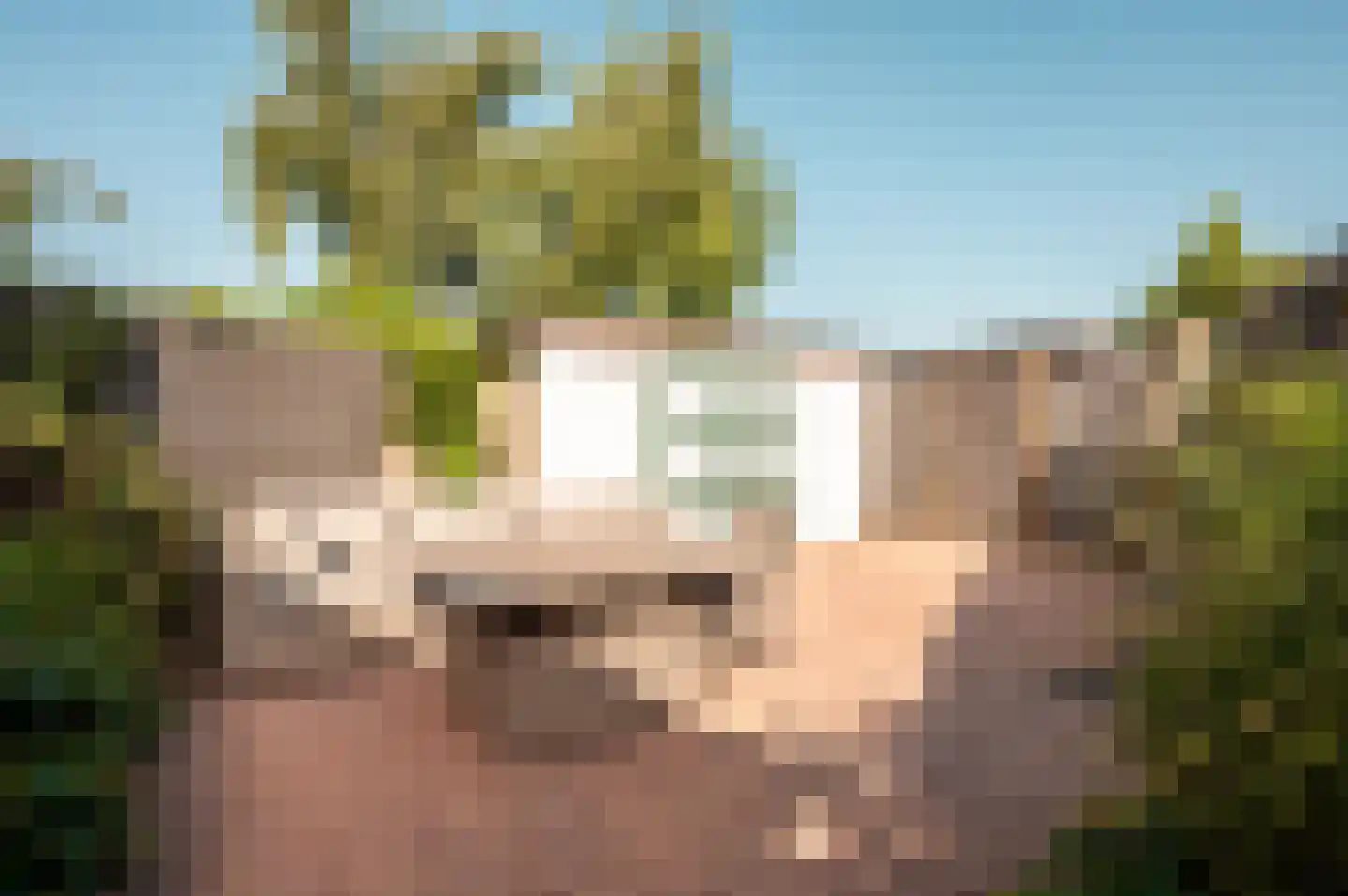 Wold 27 4 Lelystad thumbnail 33