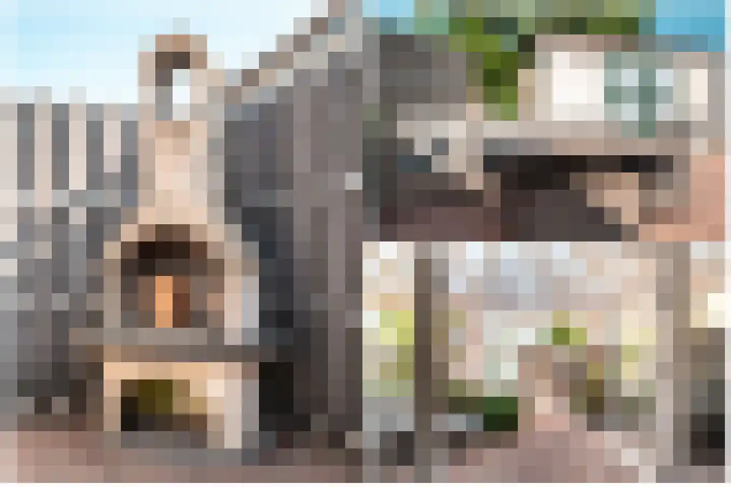 Wold 27 4 Lelystad thumbnail 35