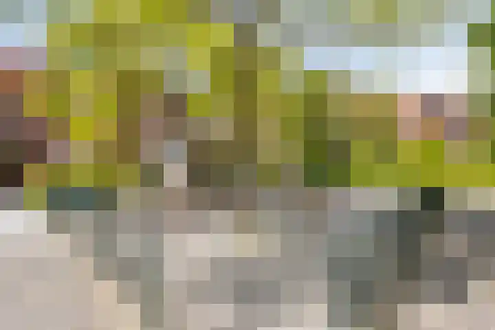 Woldberg 150 Capelle aan den IJssel thumbnail 23
