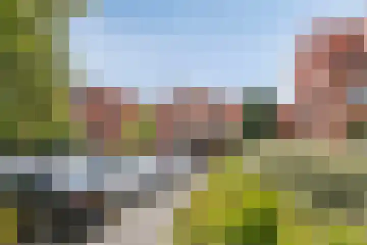 Woldberg 150 Capelle aan den IJssel thumbnail 24