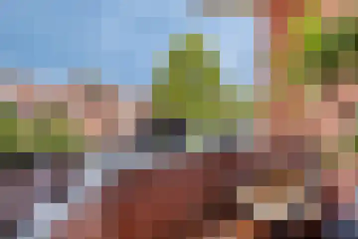 Woldberg 150 Capelle aan den IJssel thumbnail 4