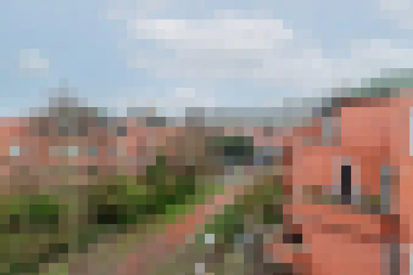 Woldberg 155 Capelle aan den IJssel thumbnail 39