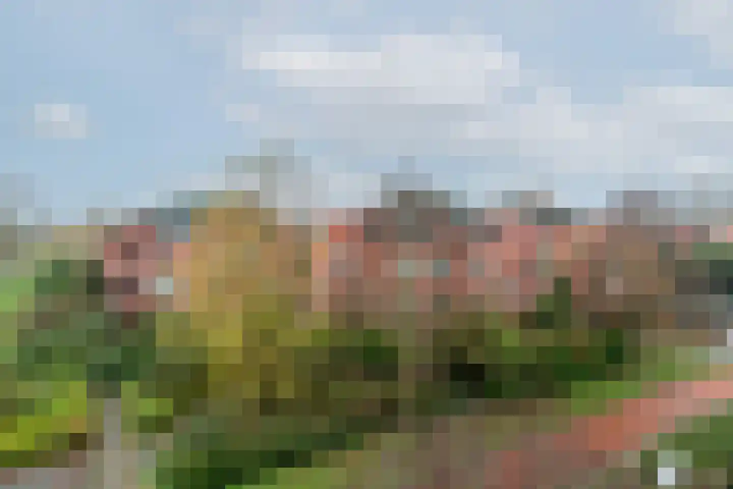 Woldberg 155 Capelle aan den IJssel thumbnail 40