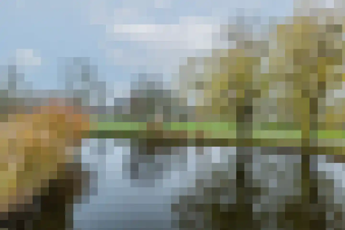 Woldberg 155 Capelle aan den IJssel thumbnail 44