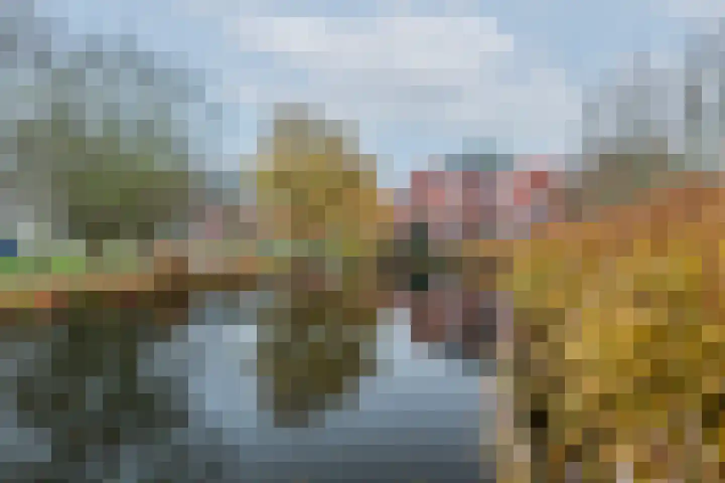 Woldberg 155 Capelle aan den IJssel thumbnail 45