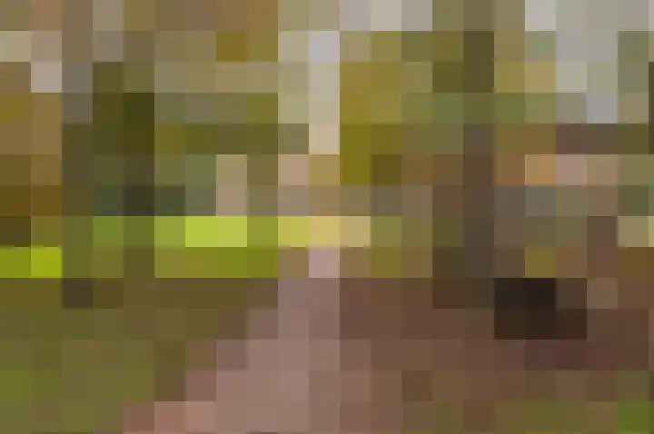 Woldbergerhout 16 Harderwijk thumbnail 41