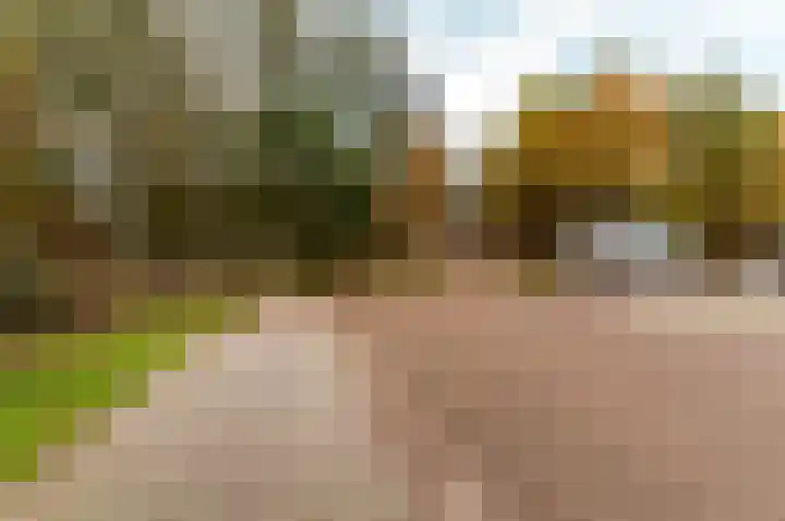 Woldbergerhout 16 Harderwijk thumbnail 42
