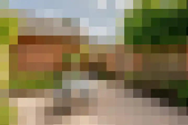 Woldbergerhout 5 Harderwijk thumbnail 28