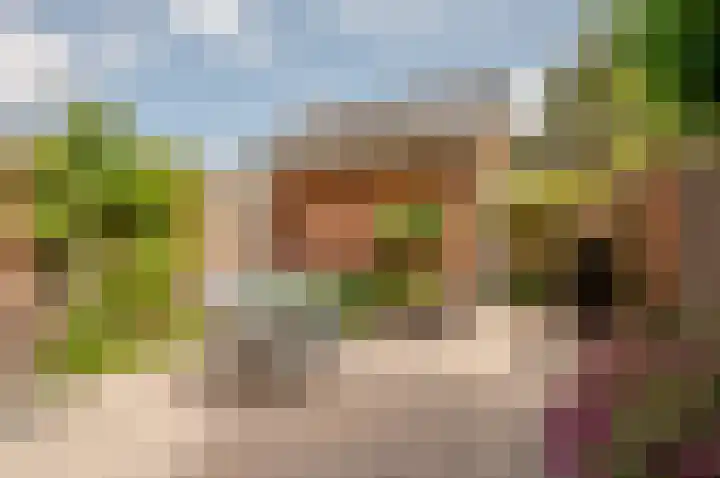 Woldbergerhout 5 Harderwijk thumbnail 31