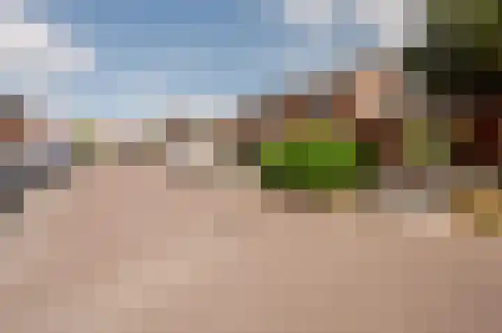 Woldbergerhout 5 Harderwijk thumbnail 34