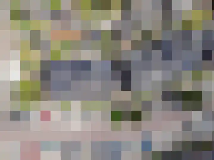 Woldbergerhout 5 Harderwijk thumbnail 37