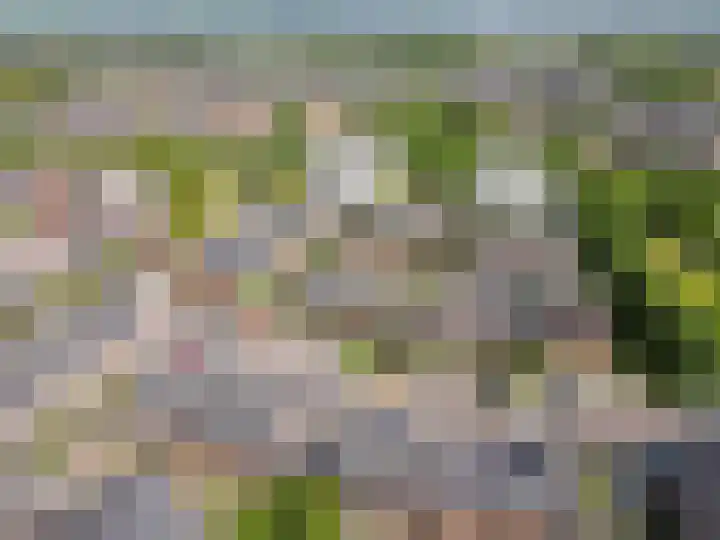 Woldbergerhout 5 Harderwijk thumbnail 39