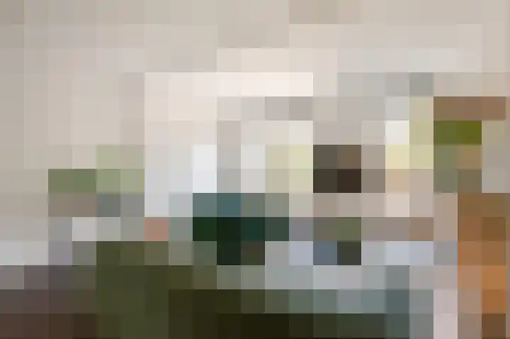 Woldbergerhout 5 Harderwijk thumbnail 4
