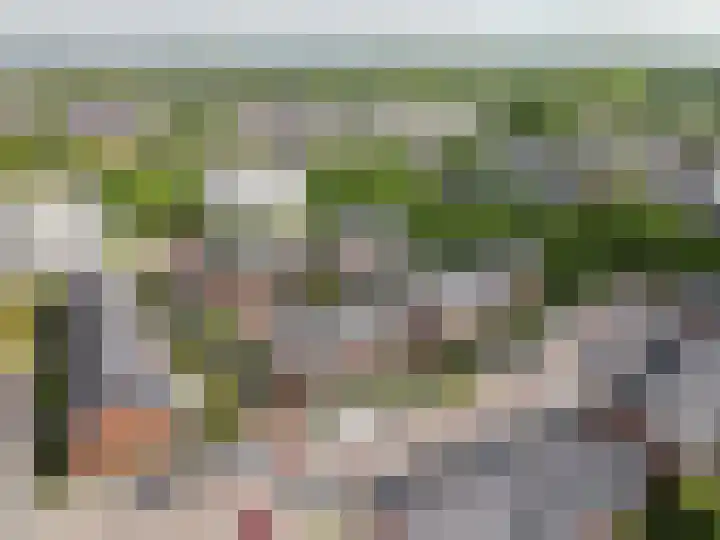 Woldbergerhout 5 Harderwijk thumbnail 41