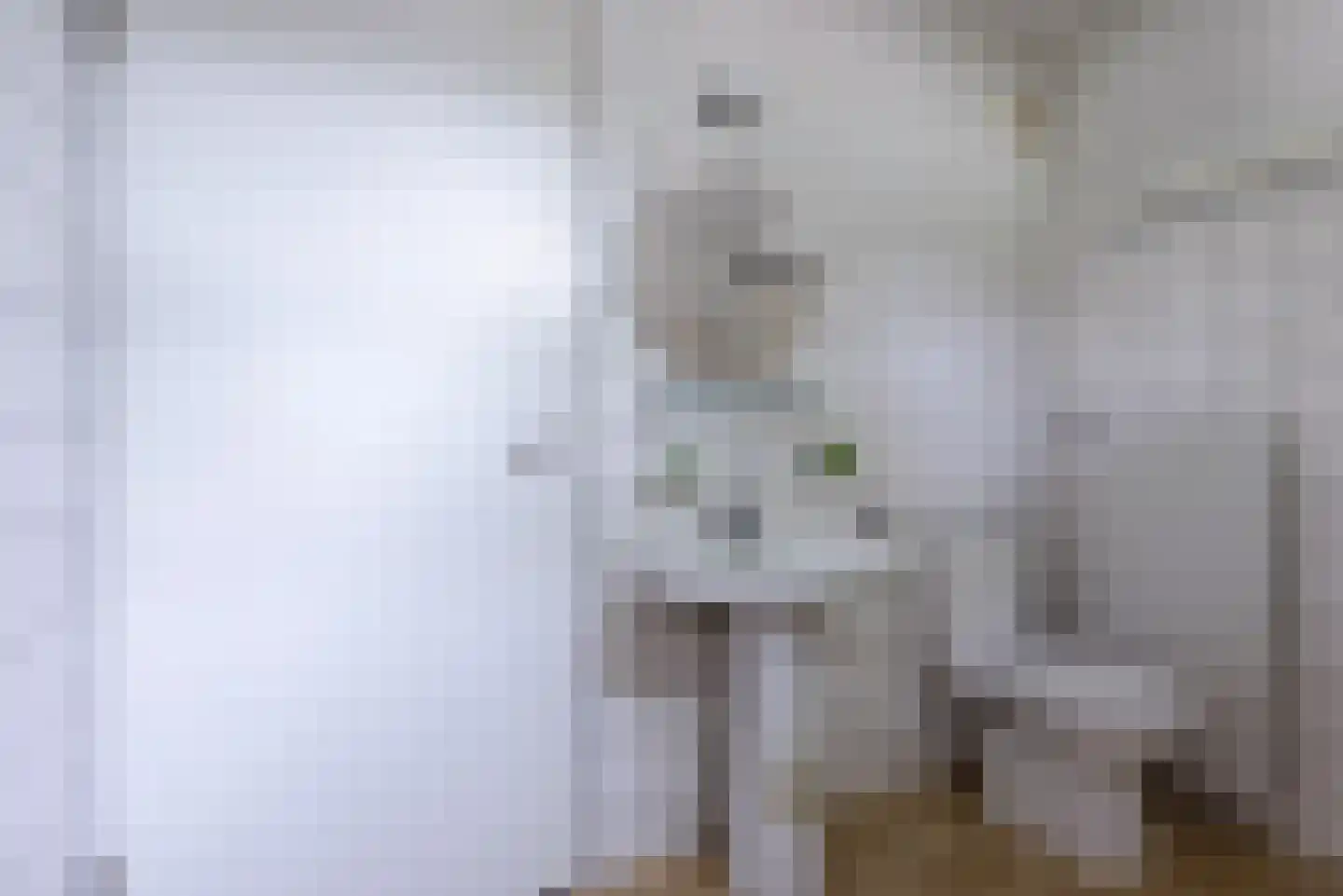 Woldberglaan 14 Eindhoven thumbnail 26