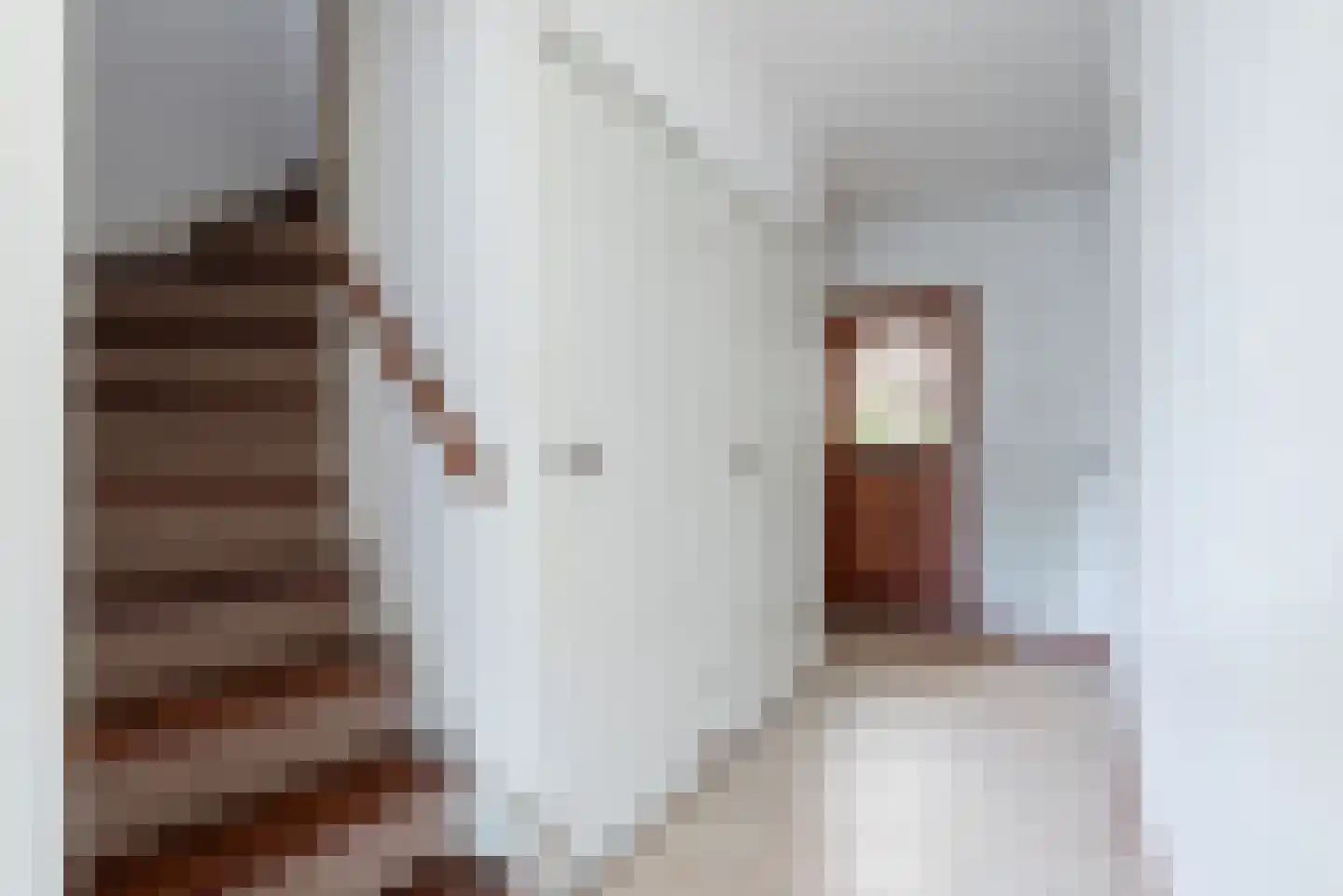 Woldberglaan 14 Eindhoven thumbnail 6