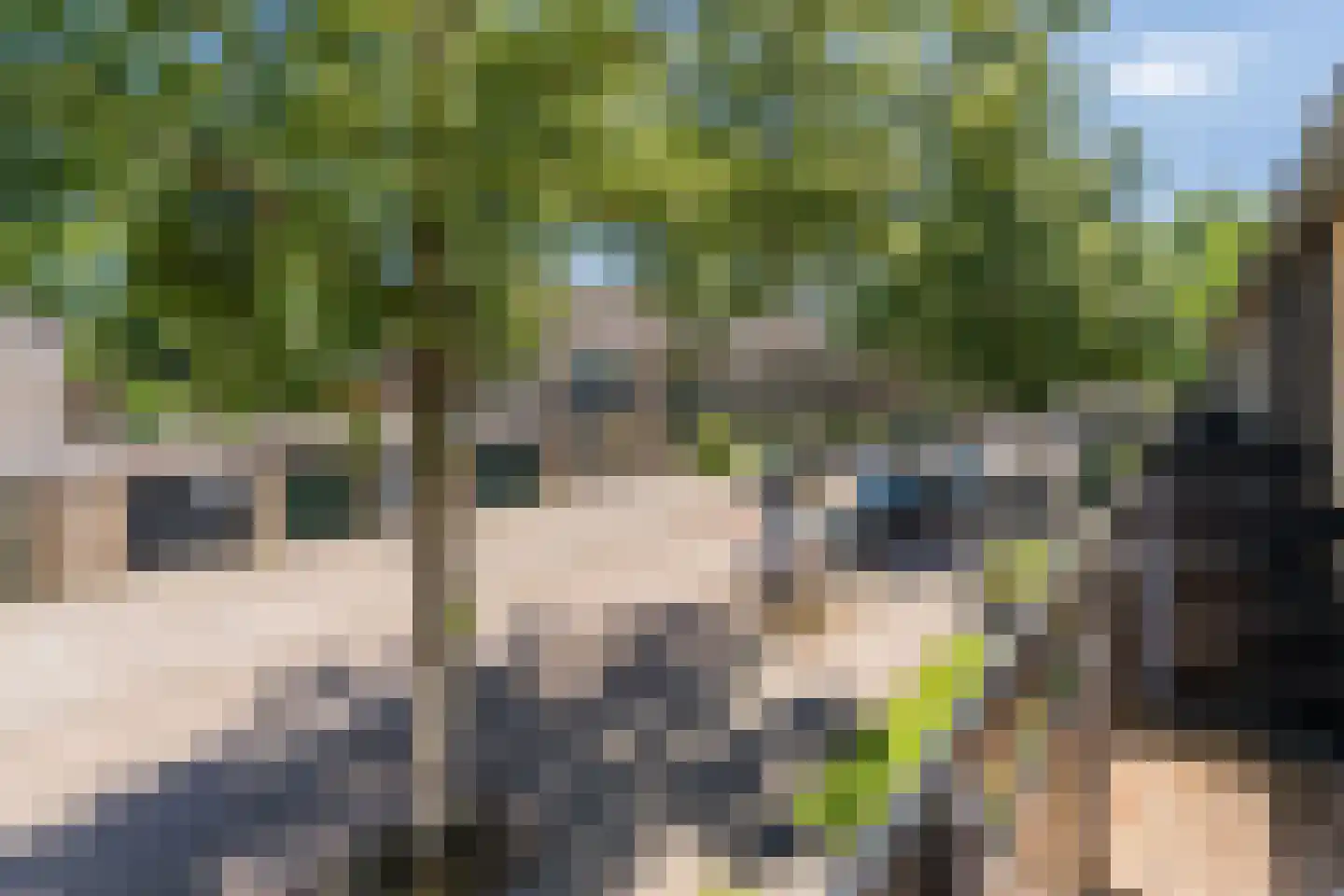 Woldberglaan 21 Eindhoven thumbnail 37