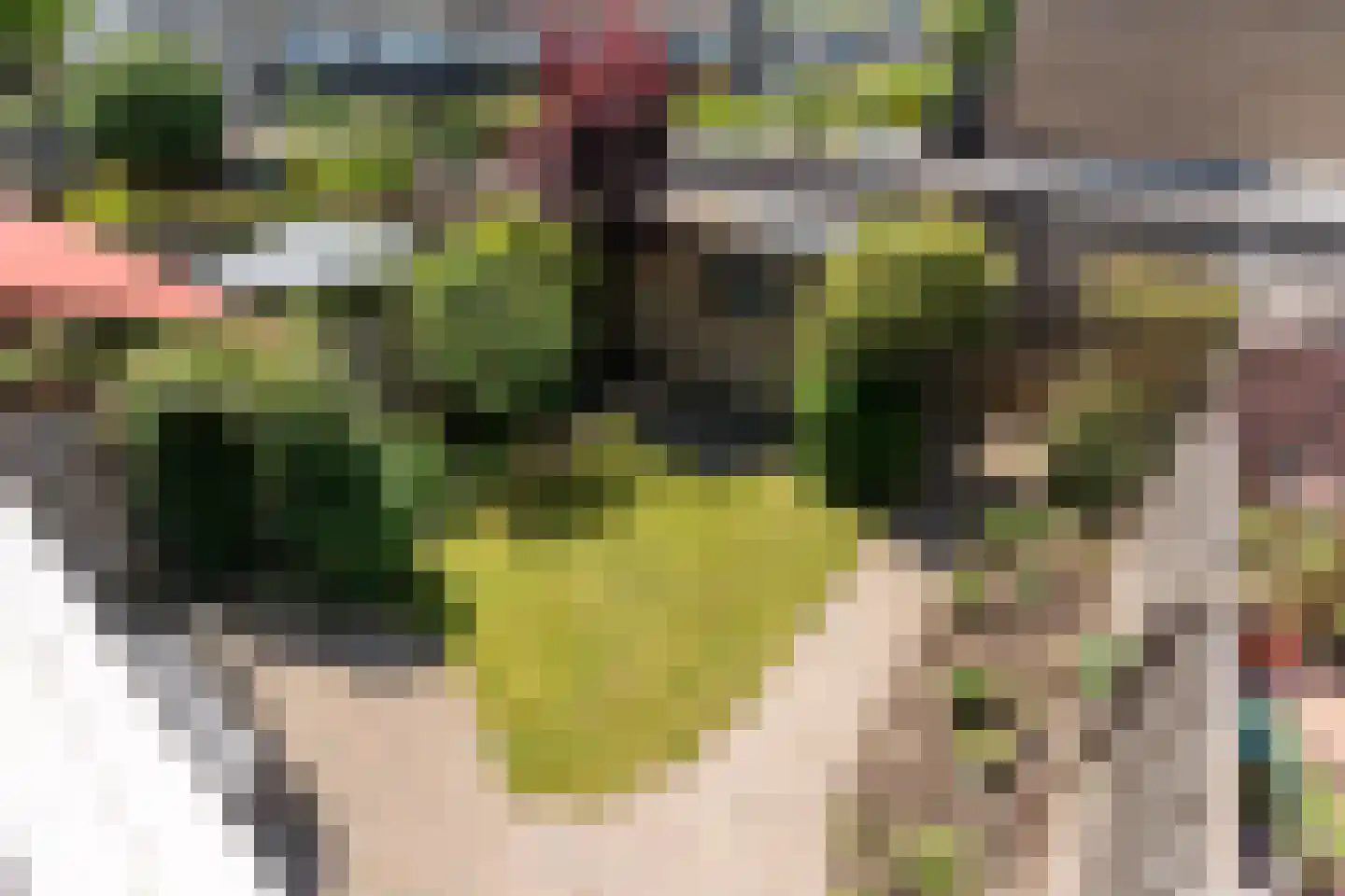 Woldberglaan 21 Eindhoven thumbnail 43