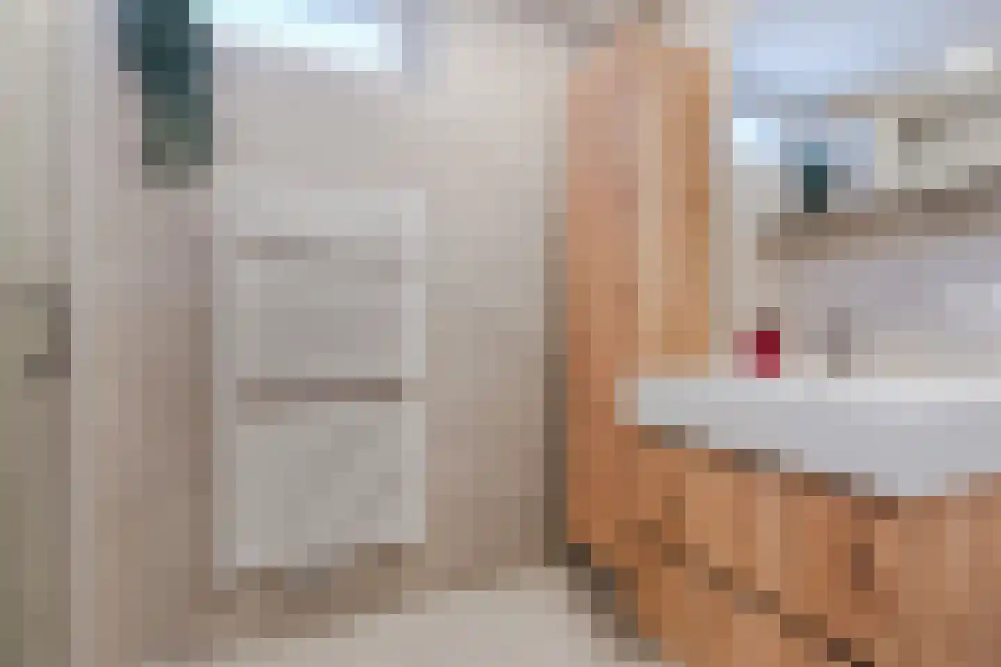 Woldberglaan 21 Eindhoven thumbnail 45