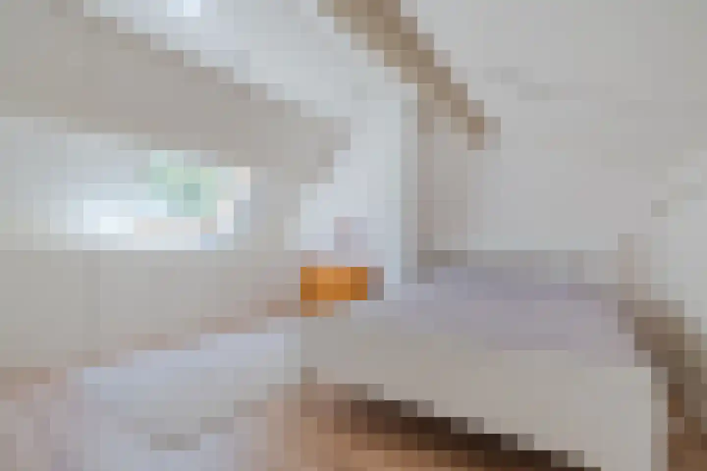 Woldberglaan 21 Eindhoven thumbnail 50