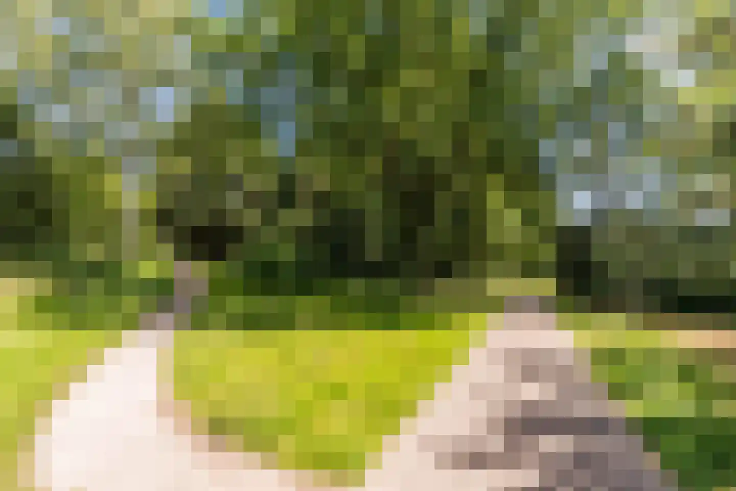 Woldberglaan 21 Eindhoven thumbnail 64