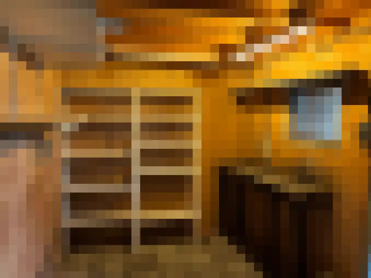 Wolddijk 12 Meppel thumbnail 25