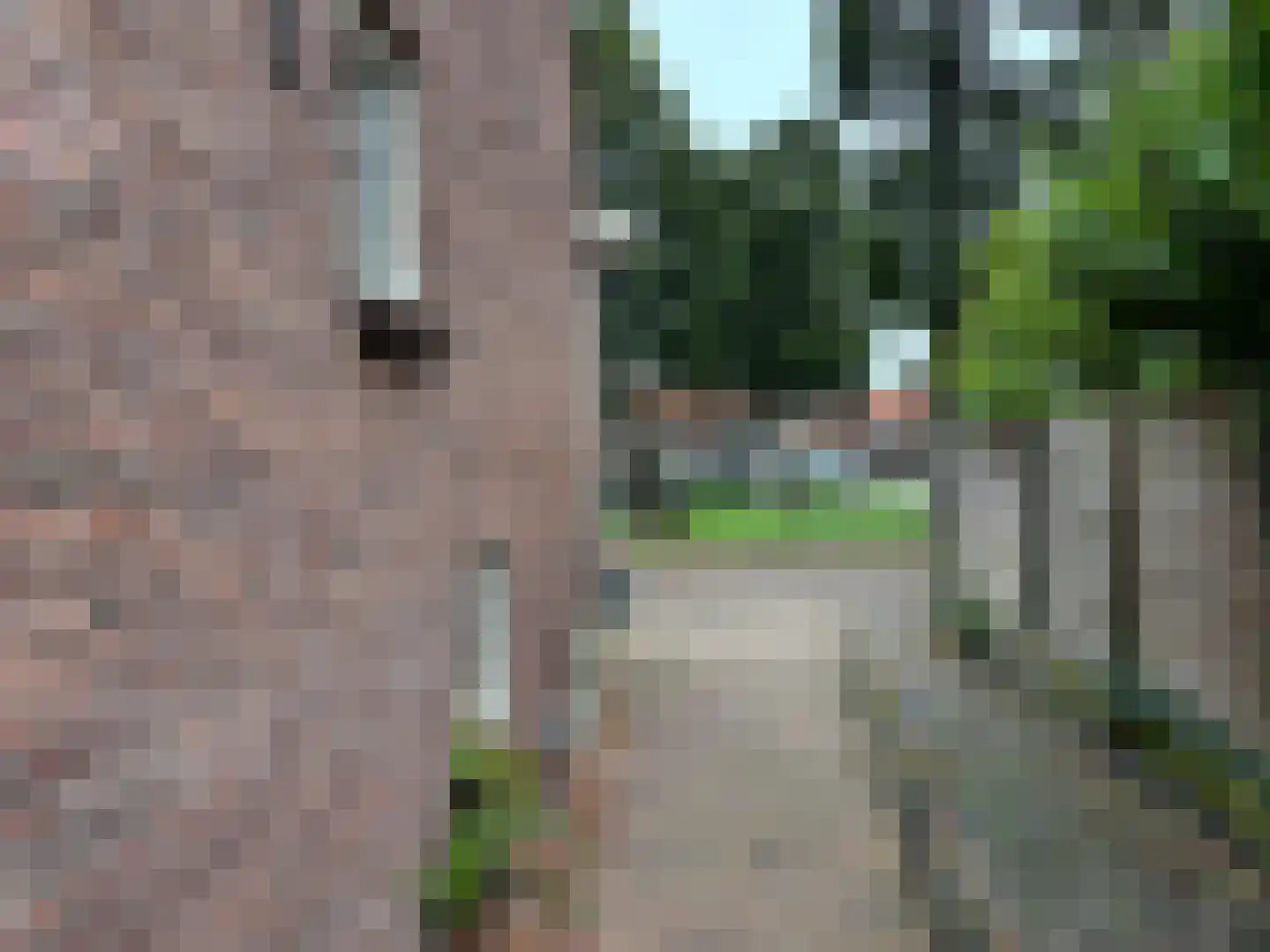 Wolddijk 12 Meppel thumbnail 27