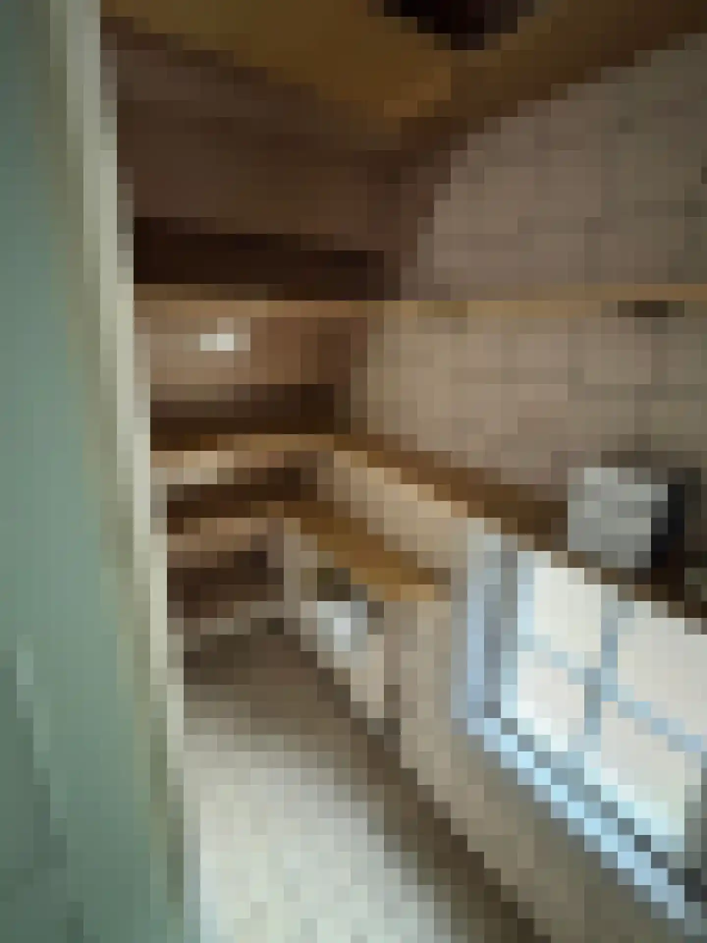Wolddijk 12 Meppel thumbnail 7