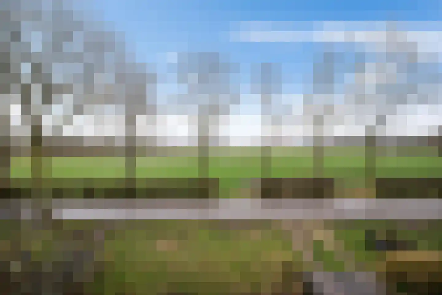 Wolddijk 121 Groningen thumbnail 40