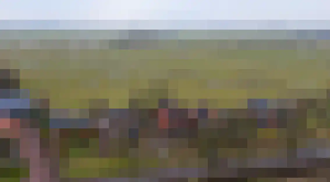 Wolddijk 121 Groningen thumbnail 41
