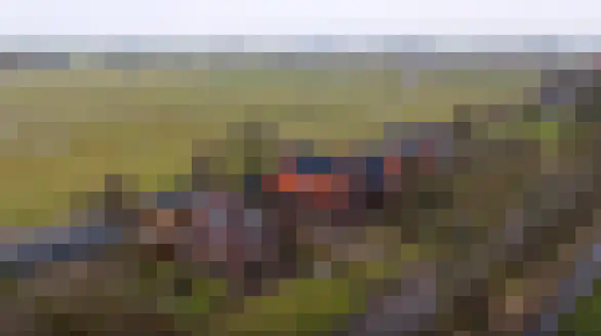 Wolddijk 121 Groningen thumbnail 6