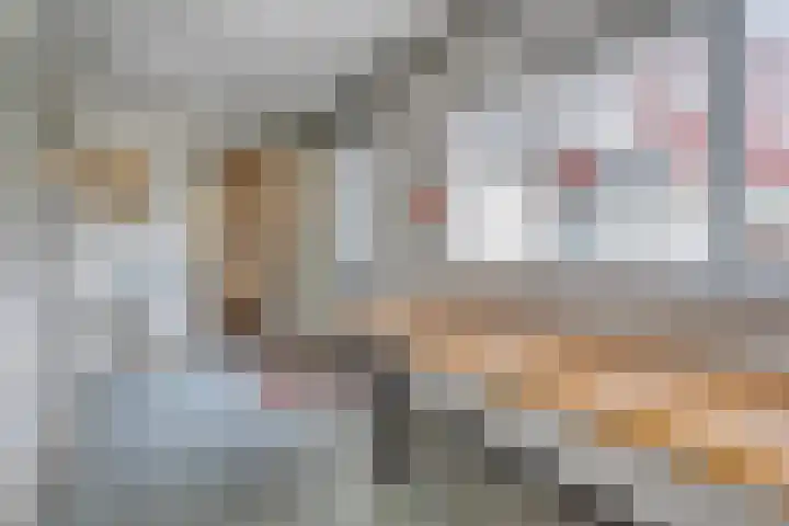 Wolddijk 143 Groningen thumbnail 26