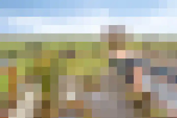 Wolddijk 143 Groningen thumbnail 4