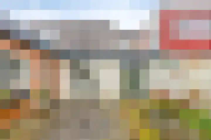 Wolddijk 143 Groningen thumbnail 43