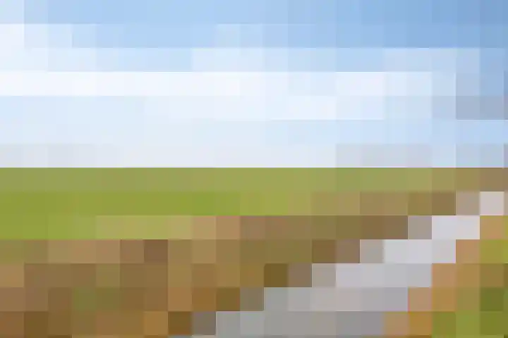 Wolddijk 143 Groningen thumbnail 46