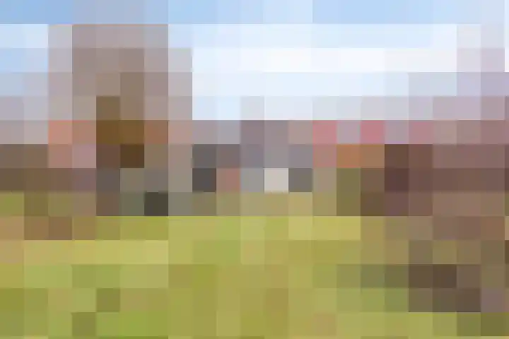 Wolddijk 143 Groningen thumbnail 47