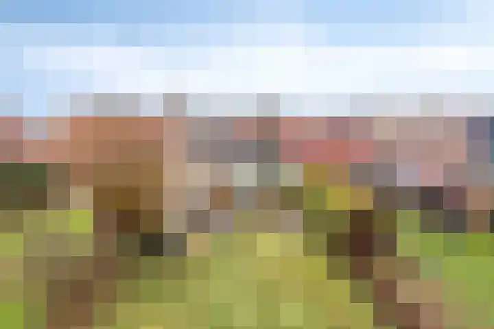 Wolddijk 143 Groningen thumbnail 48