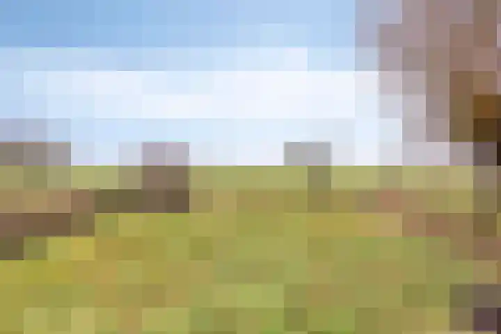 Wolddijk 143 Groningen thumbnail 5